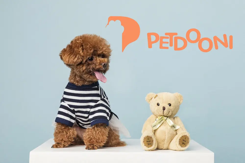 6 نکته مهم برای خرید اسباب‌بازی سگ که هر صاحب سگی باید بداند | پت‌شاپ آنلاین پتدونی